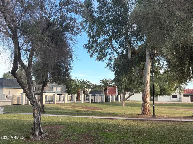 a park view with large trees