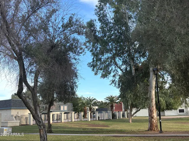 a view of park with large trees