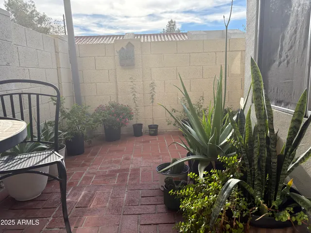 a view of a backyard with plants