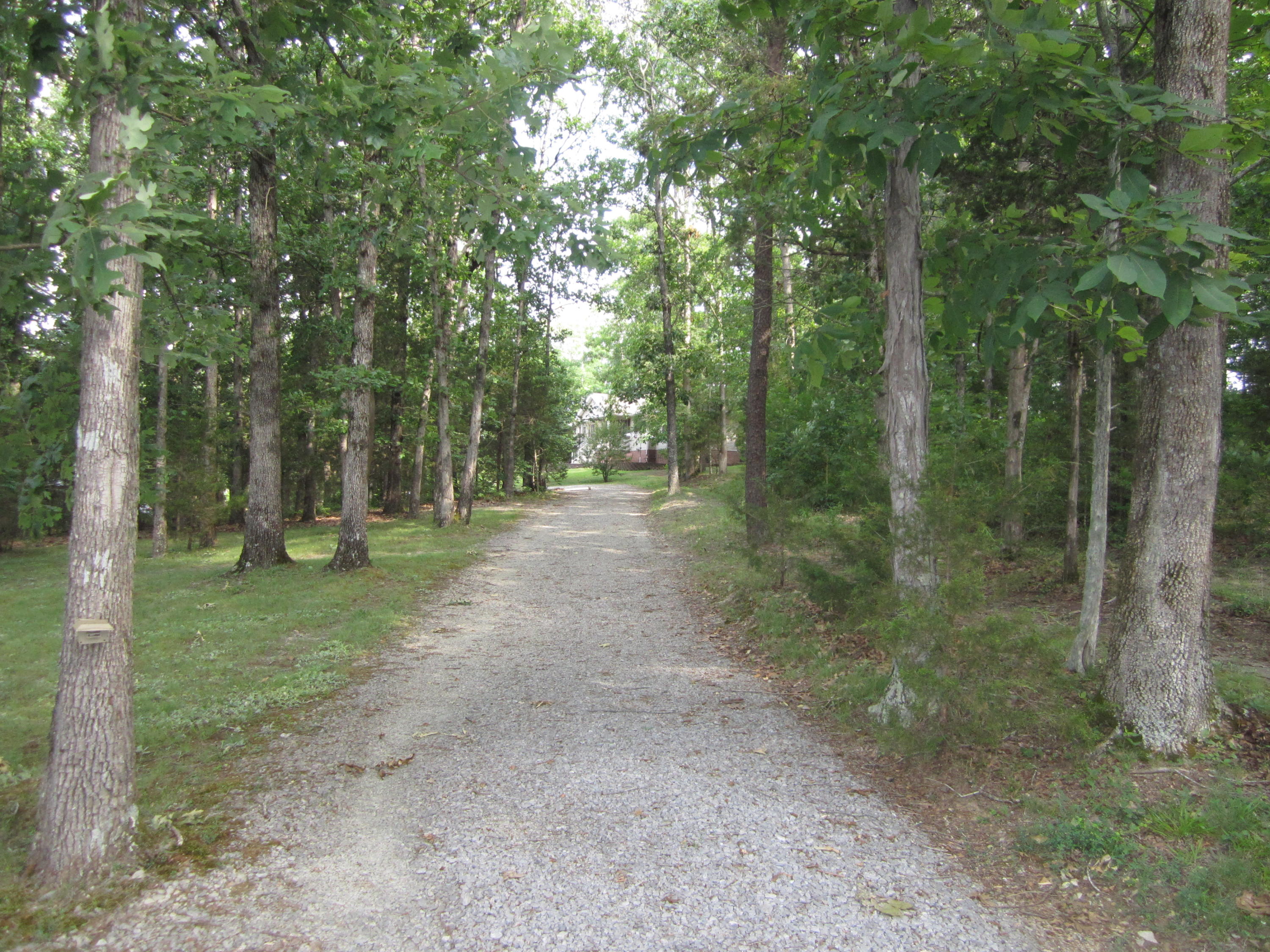 202 Lamb Road Crab Orchard, KY 40419 - Photo 32 of 40 IMG_0016