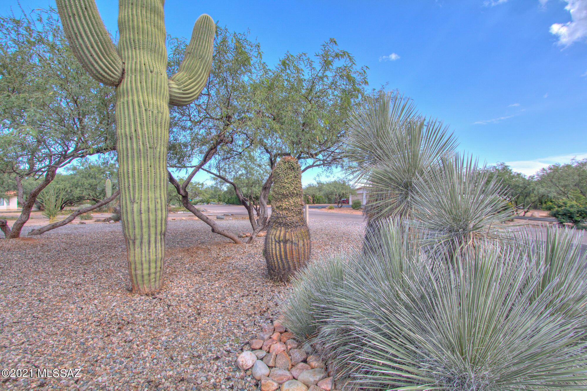 4836 East Wagon Train Road Tucson, AZ 85739 - Photo 24 of 27 Gallery Image 24