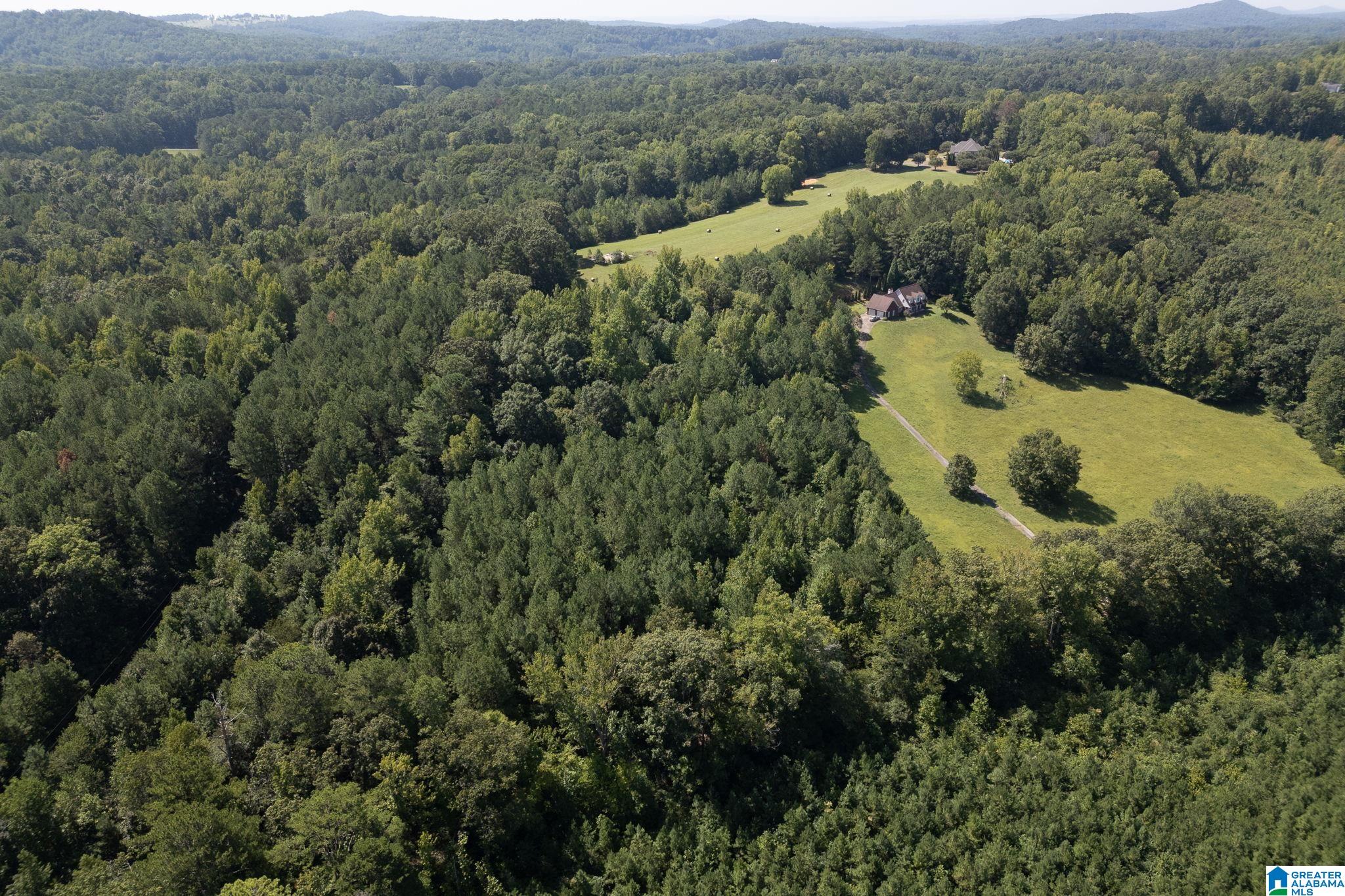 9111 Cedar Mountain Road, Unit 9111 Pinson, AL 35126 - Photo 20 of 24