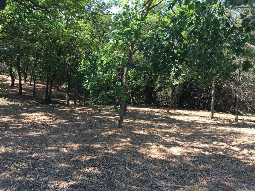 0 Akers Road Sherman, TX 75090 - Photo 1 of 1 a view of outdoor space with trees