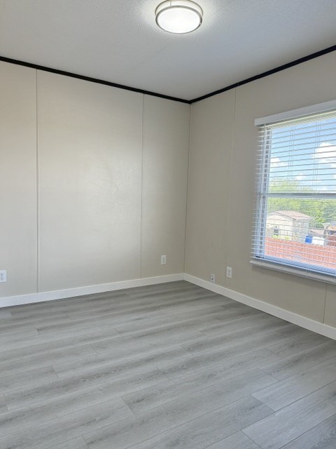 393 Duchess Pass Kyle, TX 78640 - Photo 8 of 14 Vinyl flooring and a wide window with blinds provide a comfortable atmosphere.