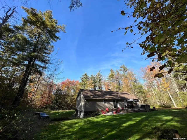 a view of a big room with a big yard and potted plants and large tree