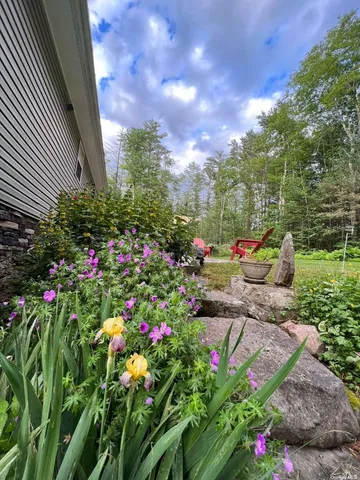 a view of a flower in a garden