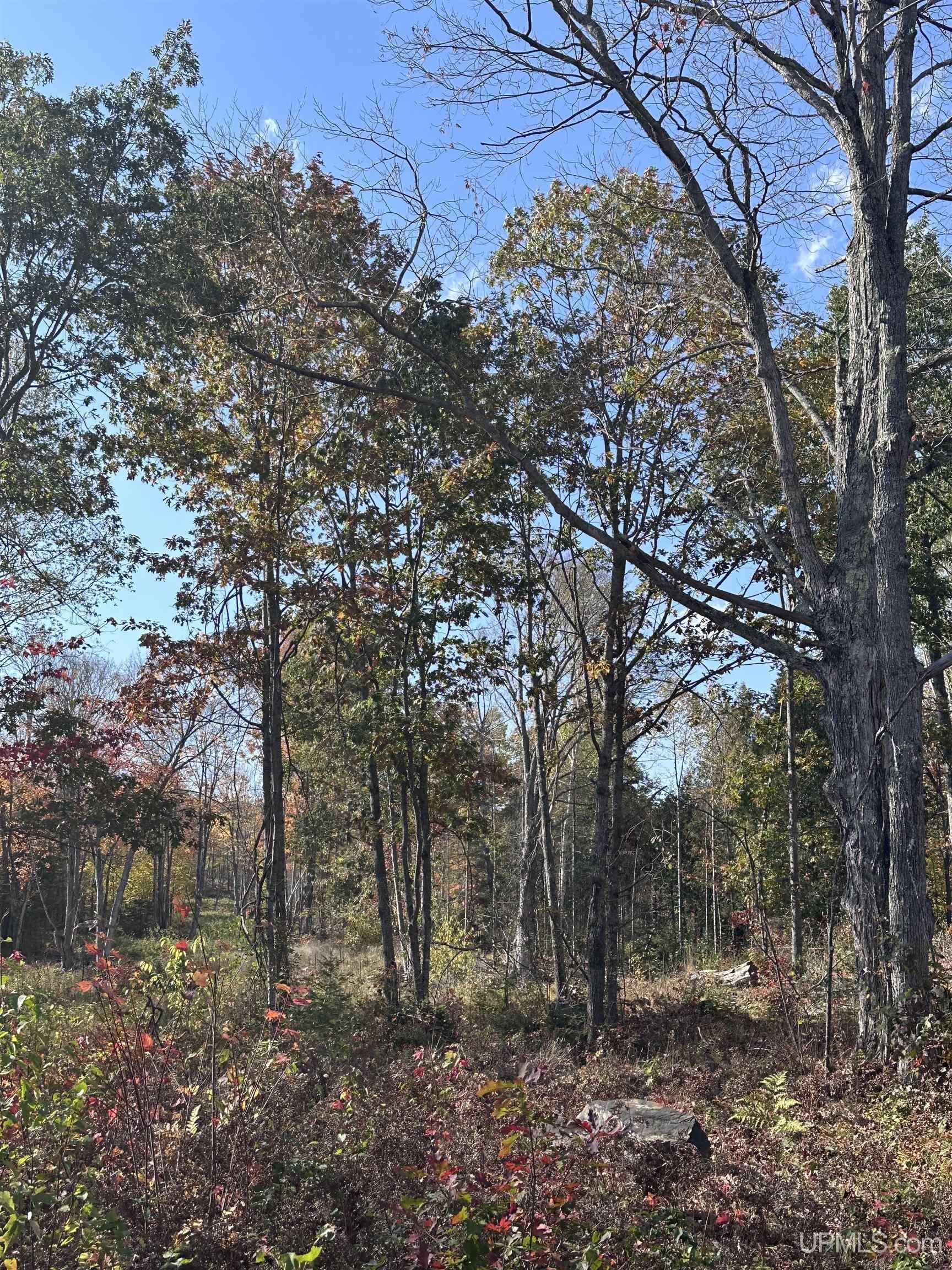 Tbd Co Rd 496 (b) Road, Unit PARCEL B Champion, MI 49814 - Photo 27 of 33