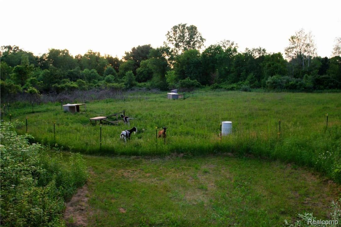 4433 7 Mile Road South Lyon, MI 48178 - Photo 16 of 20 16.jpg