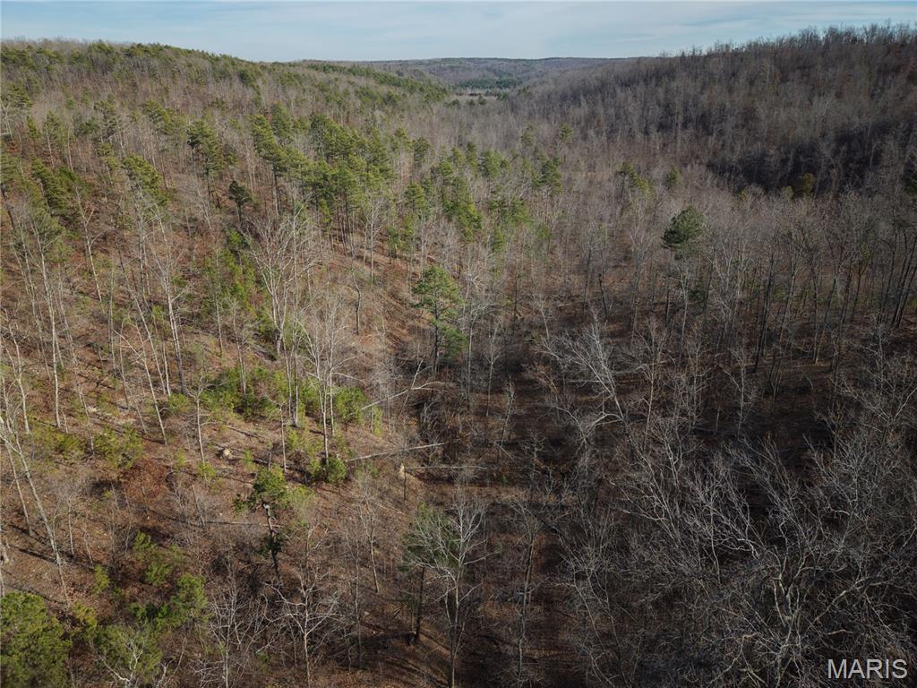 1 Bidwell Creek Road Fredericktown, MO 63645 - Photo 12 of 22