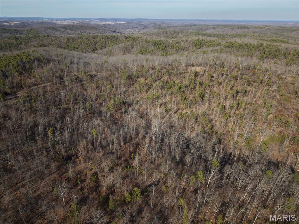 1 Bidwell Creek Road Fredericktown, MO 63645 - Photo 15 of 22