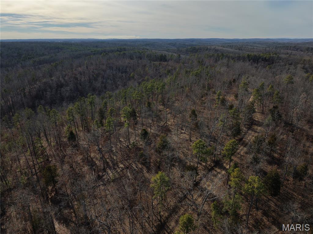 1 Bidwell Creek Road Fredericktown, MO 63645 - Photo 7 of 22