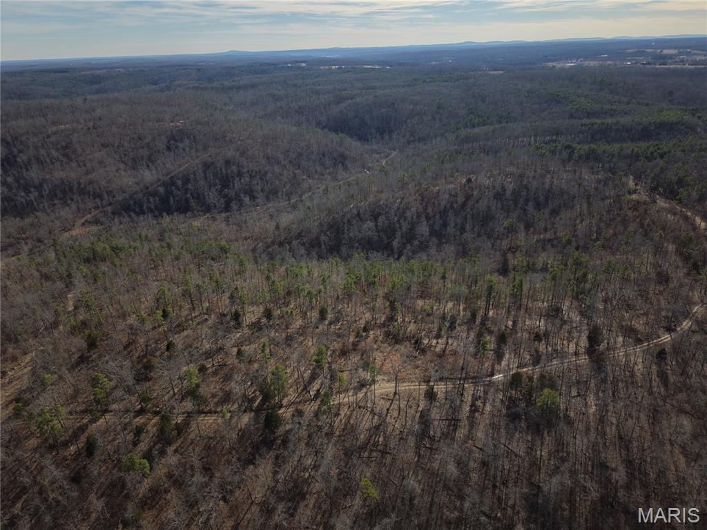 1 Bidwell Creek Road Fredericktown, MO 63645 - Photo 10 of 22