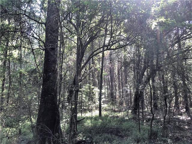 61-acres Stein Road Bogalusa, LA 70427 - Photo 3 of 5