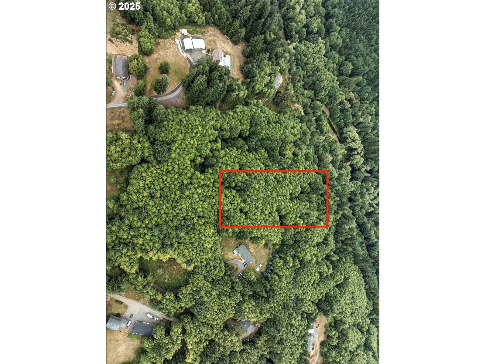 1550 Slide Creek Road Longview, WA 98632 - Photo 3 of 13