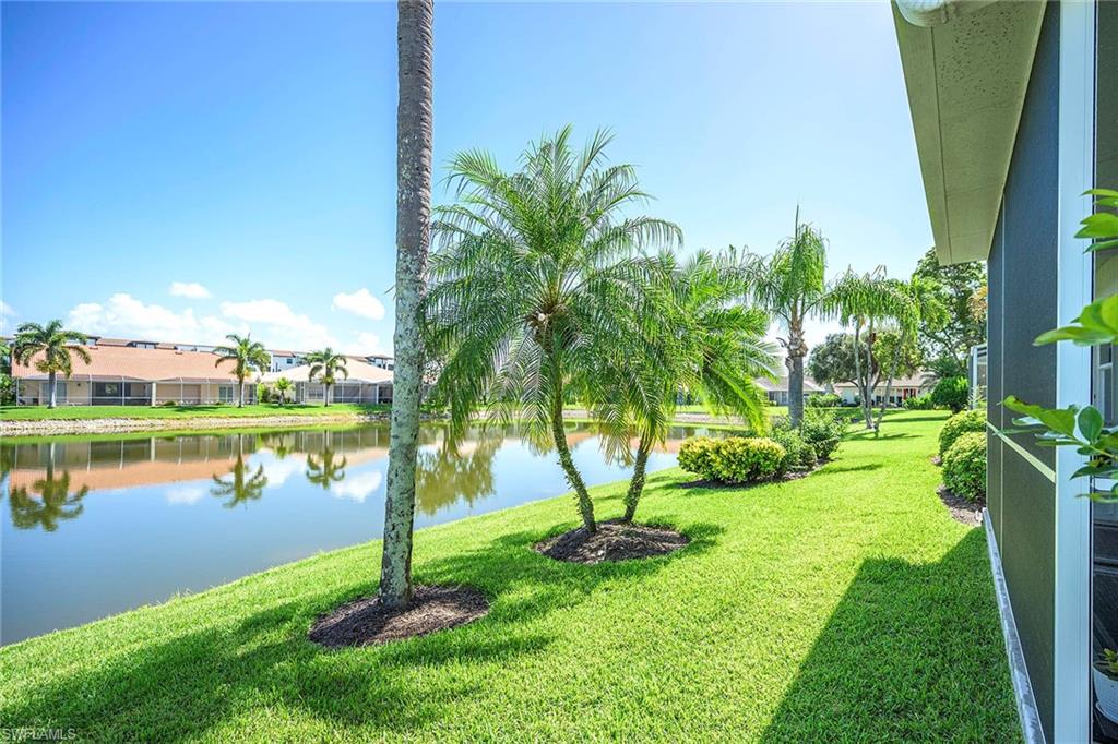 6533 Ilex Circle Naples, FL 34109 - Photo 4 of 34 a view of a lake with a palm trees