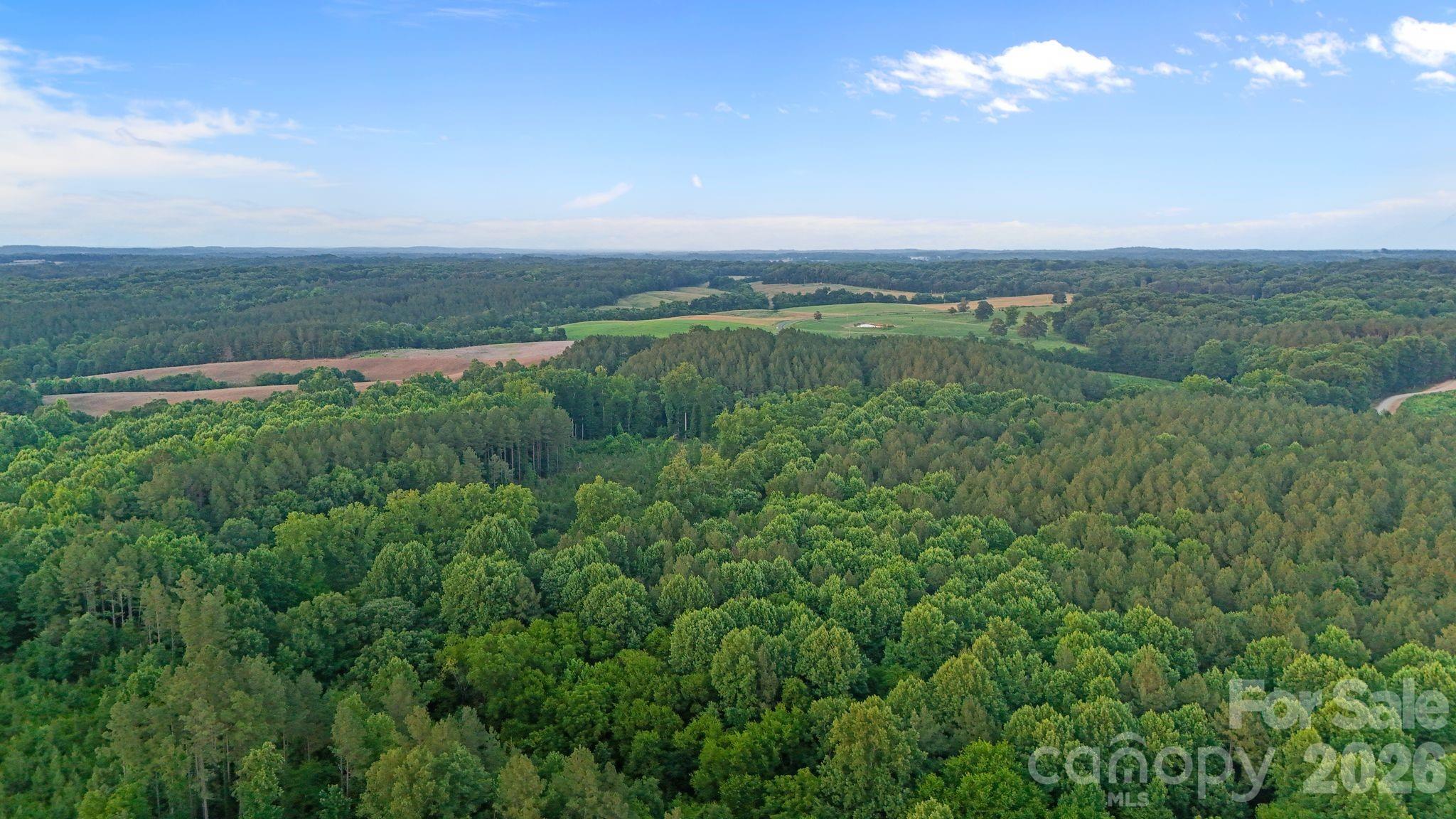 0 Lucy Short Cut Road, Unit 3 Marshville, NC 28103 - Photo 43 of 47