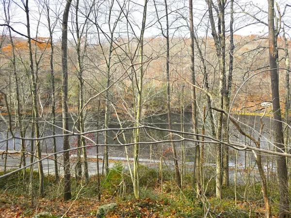 $54,900 | 123-133 Todd Hollow Road, Plymouth, CT 06782