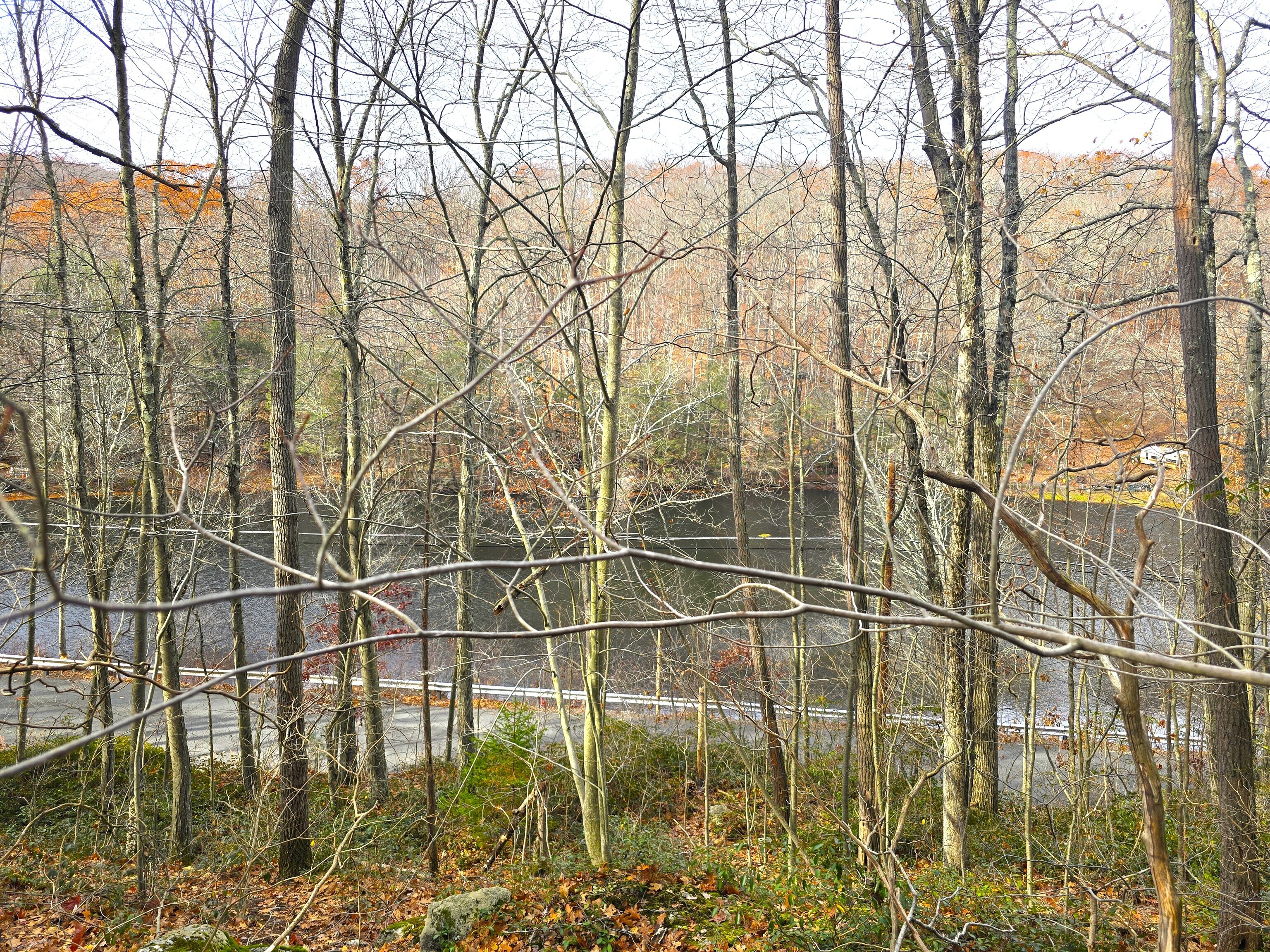 123-133 Todd Hollow Road Plymouth, CT 06782 - Photo 2 of 6 a backyard of a house with lots of green space and a water view