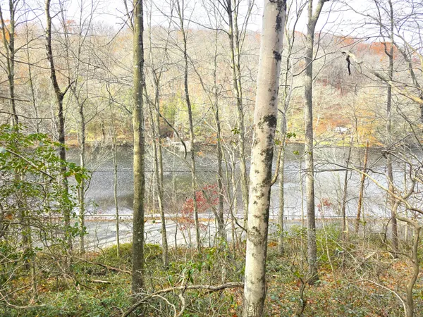 $54,900 | 123-133 Todd Hollow Road, Plymouth, CT 06782