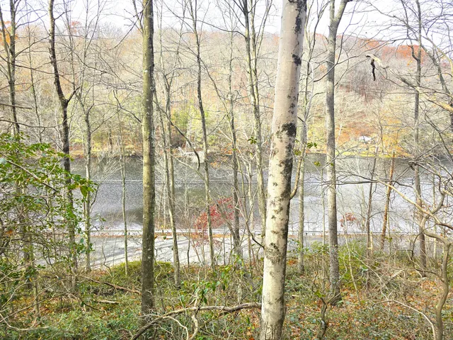 a backyard of a house