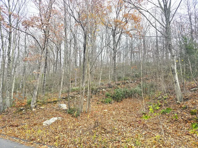 a view of a yard with trees in the background