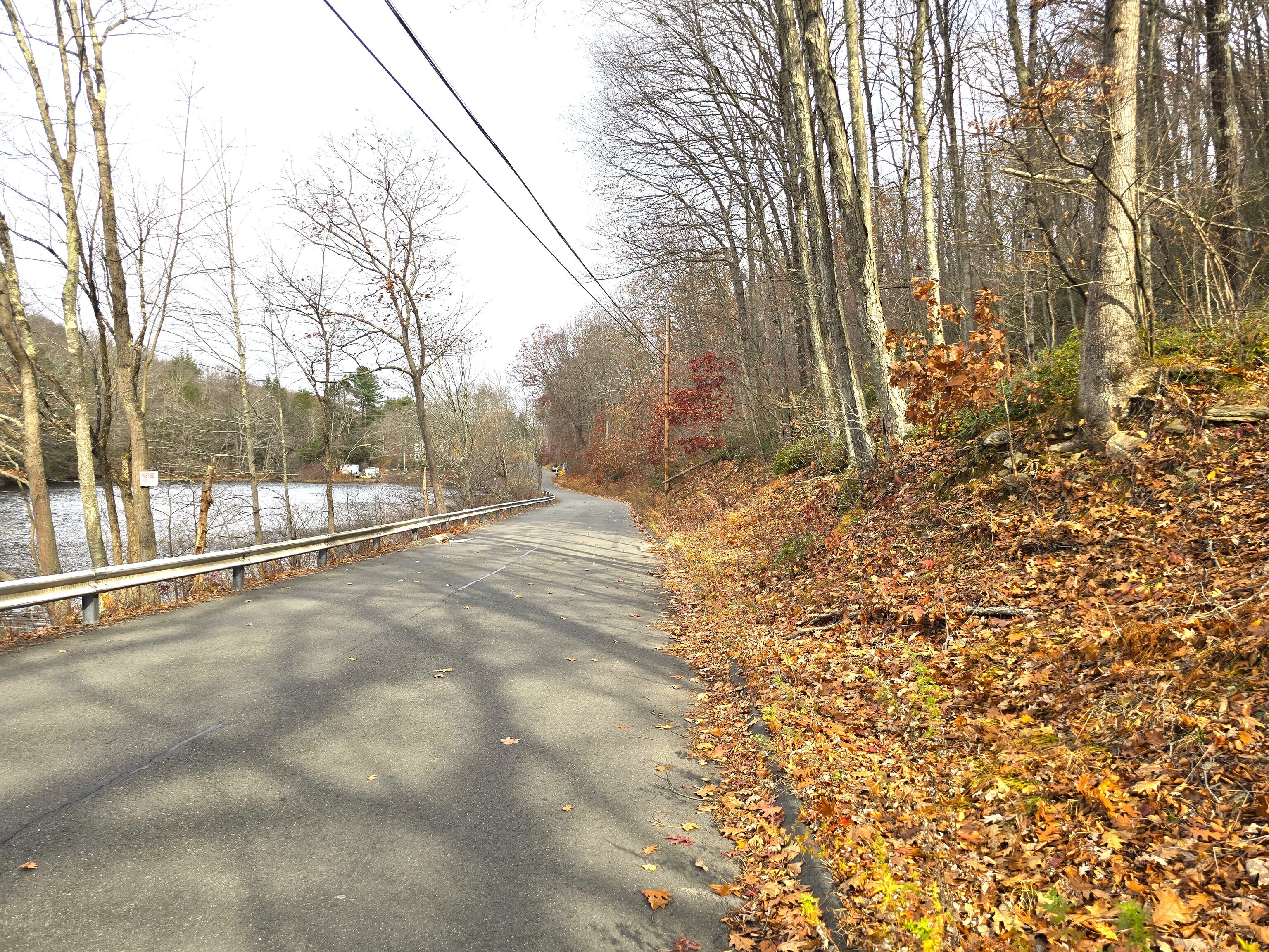 123-133 Todd Hollow Road Plymouth, CT 06782 - Photo 6 of 6 a view of a yard with trees in the background
