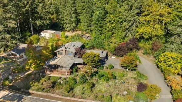 a view of a yard with plants