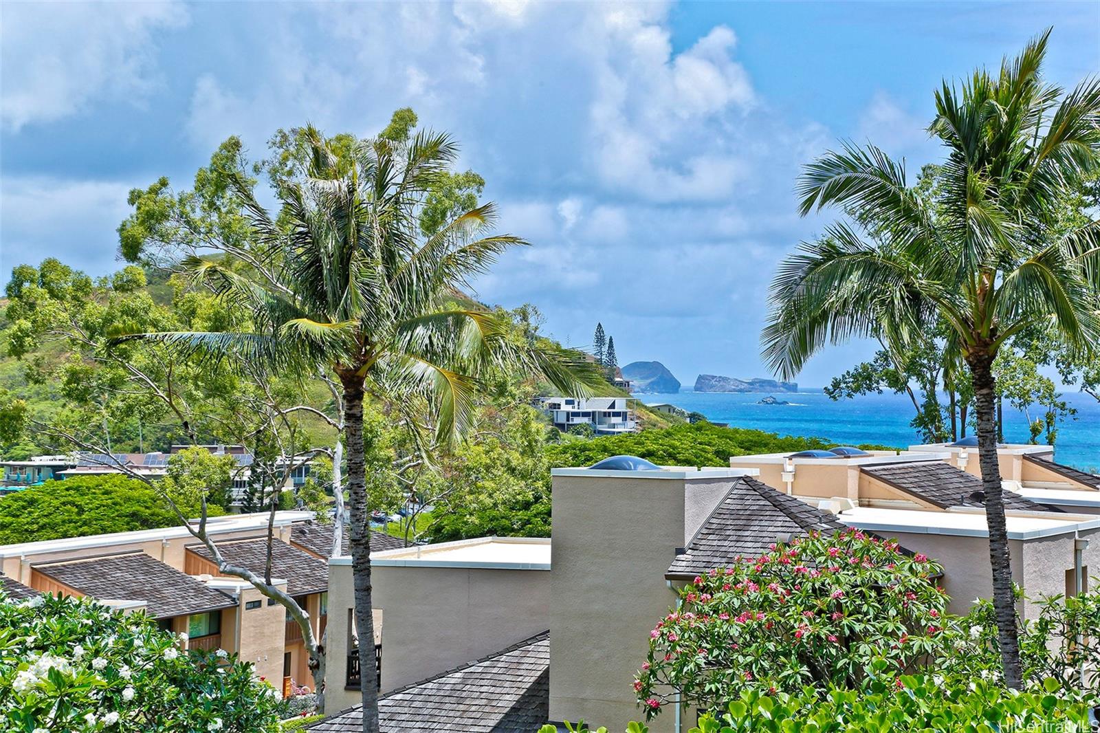 387 Kaelepulu Drive, Unit 1305 Kailua, HI 96734 - Photo 7 of 22 a view of a garden with plants and palm trees