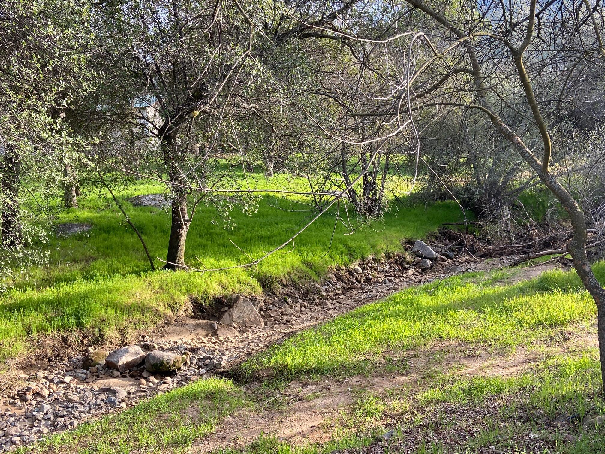40862 Grouse Drive Three Rivers, CA 93271 - Photo 28 of 32 Seasonal creek