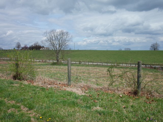296 Mt Carmel Road Paris, KY 40361 - Photo 30 of 32 Gallery Image 30