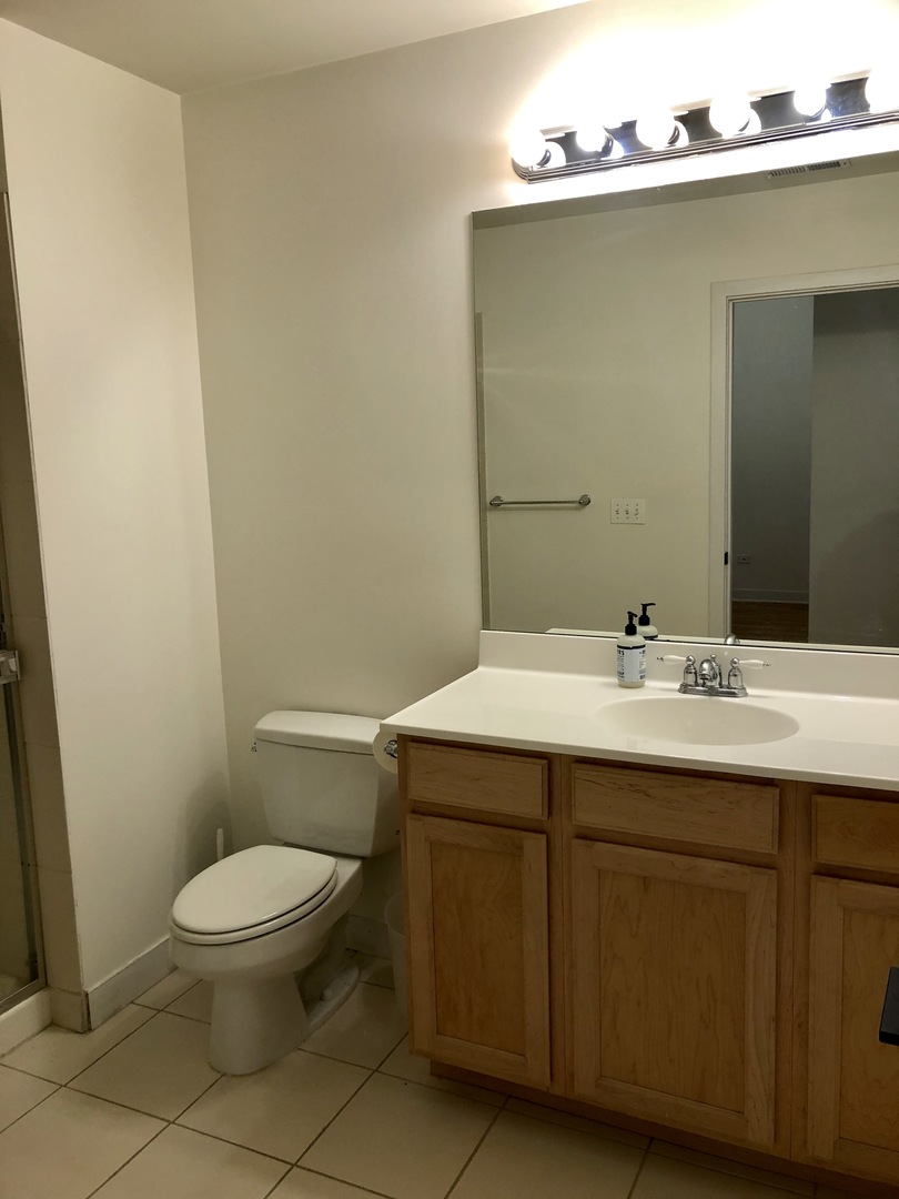 2 South Leavitt Street, Unit 304 Chicago, IL 60612 - Photo 14 of 19