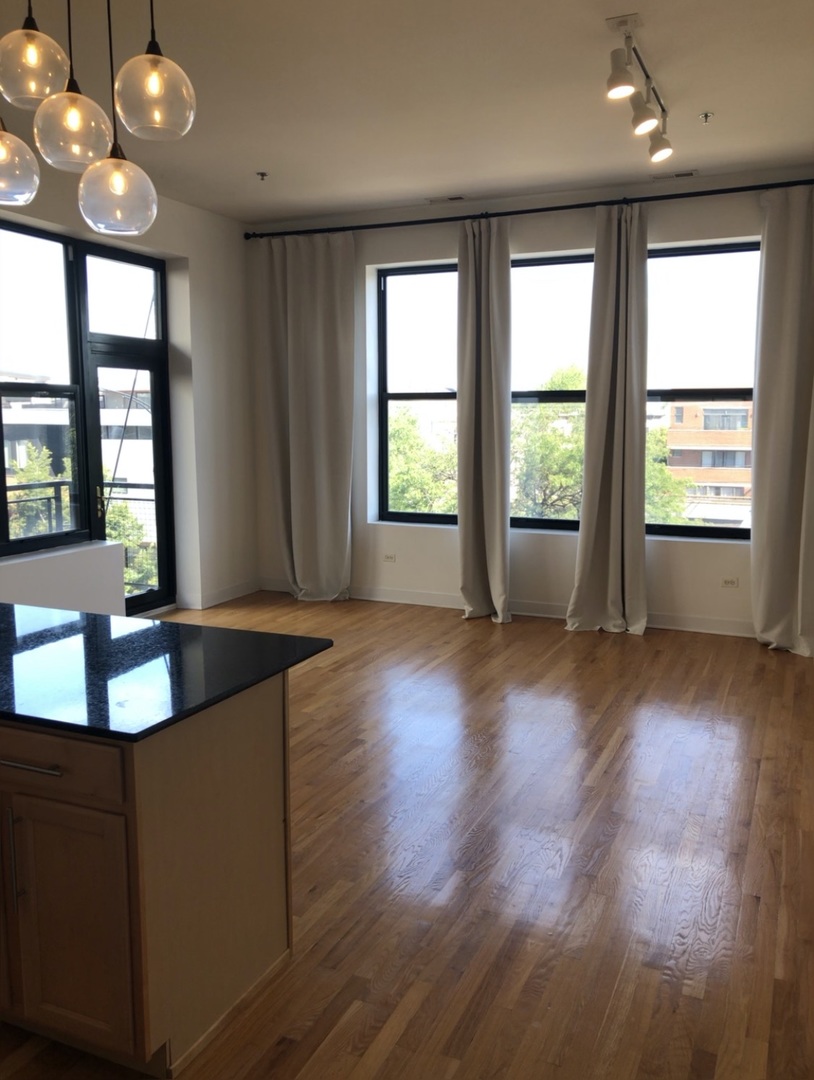 2 South Leavitt Street, Unit 304 Chicago, IL 60612 - Photo 4 of 19