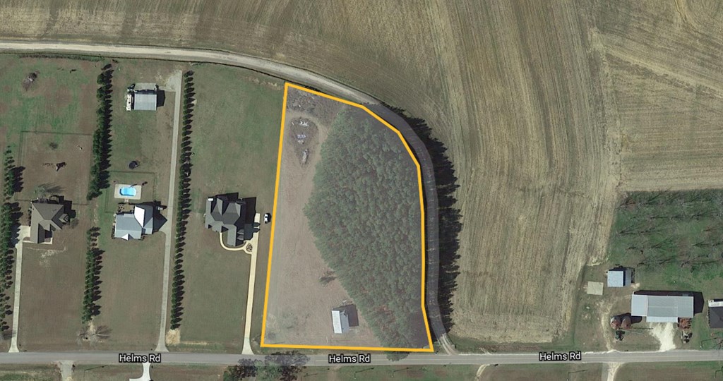 Lot 1 Helms Road Dothan, AL 36301 - Photo 3 of 12