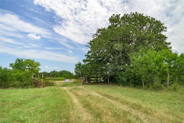 a view of outdoor space with deck and yard