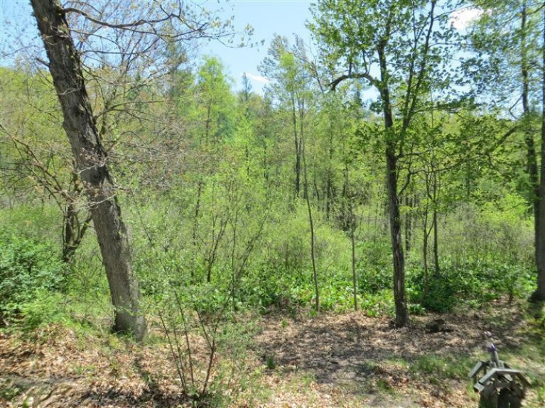 52324 Johnson Road Three Rivers, MI 49093 - Photo 5 of 20 Additional Photo