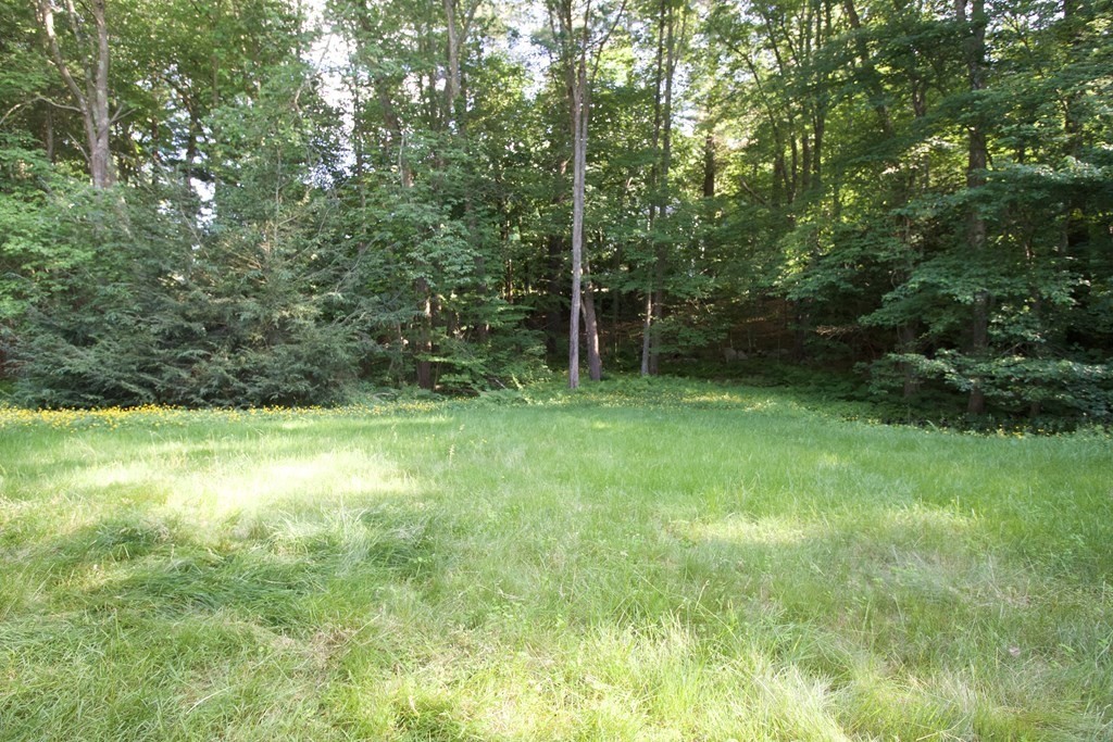 33 Stinson Road Andover, MA 01810 - Photo 39 of 40