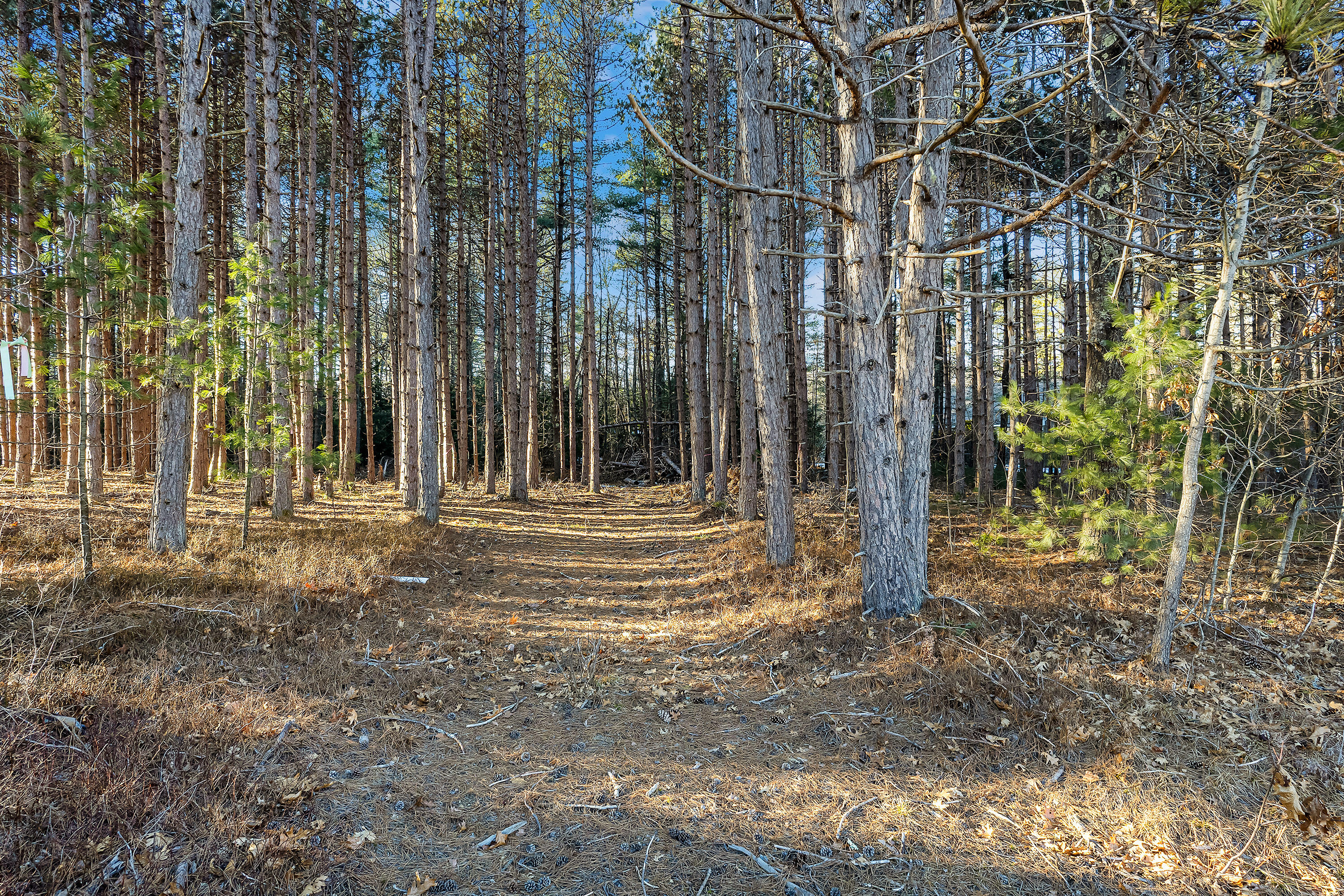65 Newhall Road Wells, ME 04090 - Photo 1 of 8 65 Newhall Rd_103