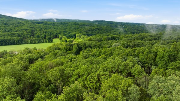 6070 Italy Valley Road Italy, NY 14512 - Photo 13 of 19