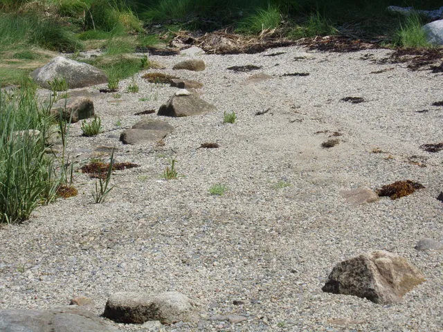 $695,000 | 73 Taunton Bay Shores Road, Franklin, ME 04634