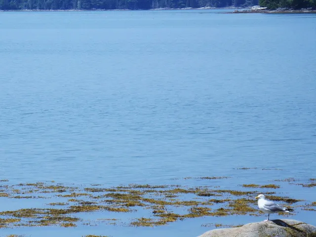 $695,000 | 73 Taunton Bay Shores Road, Franklin, ME 04634