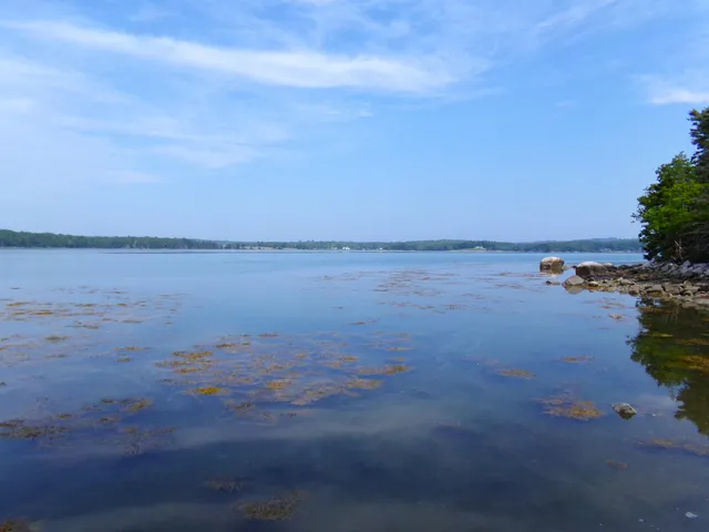 $695,000 | 73 Taunton Bay Shores Road, Franklin, ME 04634