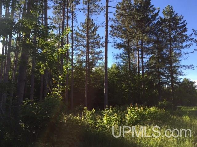 Tbd Ruonavaara Road Lake Linden, MI 49945 - Photo 14 of 32 Gallery Image 14