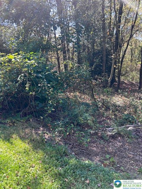 731 Yellow Run Road Jim Thorpe, PA 18229 - Photo 2 of 4 a view of a yard with a tree