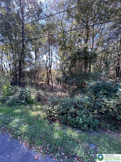 731 Yellow Run Road Jim Thorpe, PA 18229 - Photo 3 of 4 a big yard with lots of green space and deers