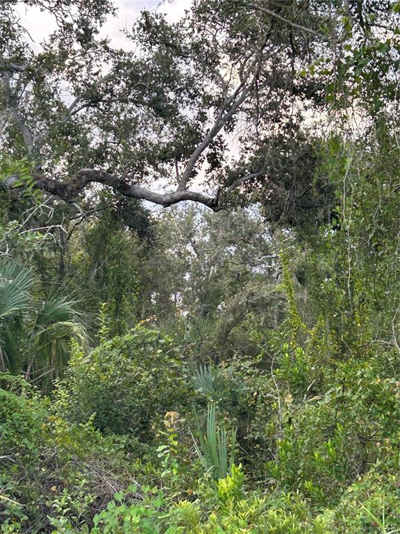 29431 Nottingham Road Punta Gorda, FL 33982 - Photo 2 of 7