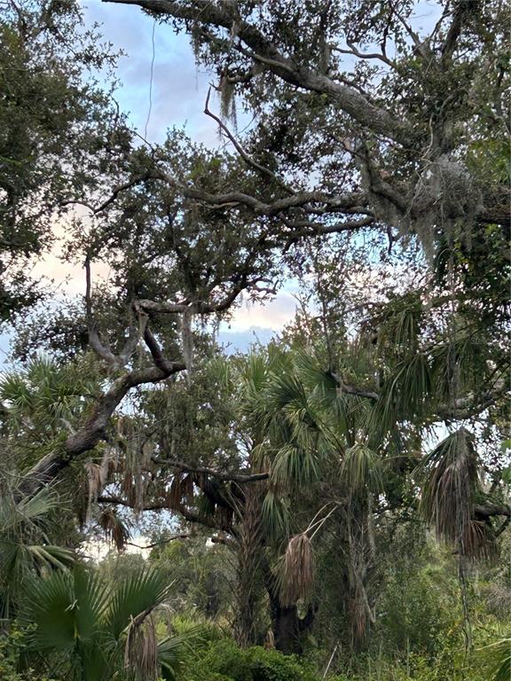 29431 Nottingham Road Punta Gorda, FL 33982 - Photo 3 of 7