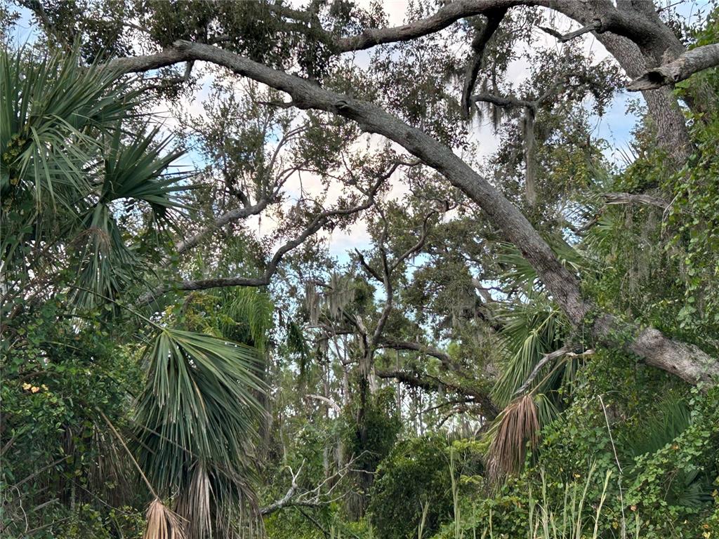 29431 Nottingham Road Punta Gorda, FL 33982 - Photo 4 of 7