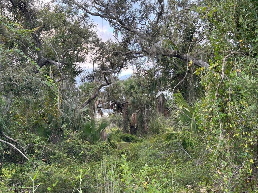 29431 Nottingham Road Punta Gorda, FL 33982 - Photo 5 of 7