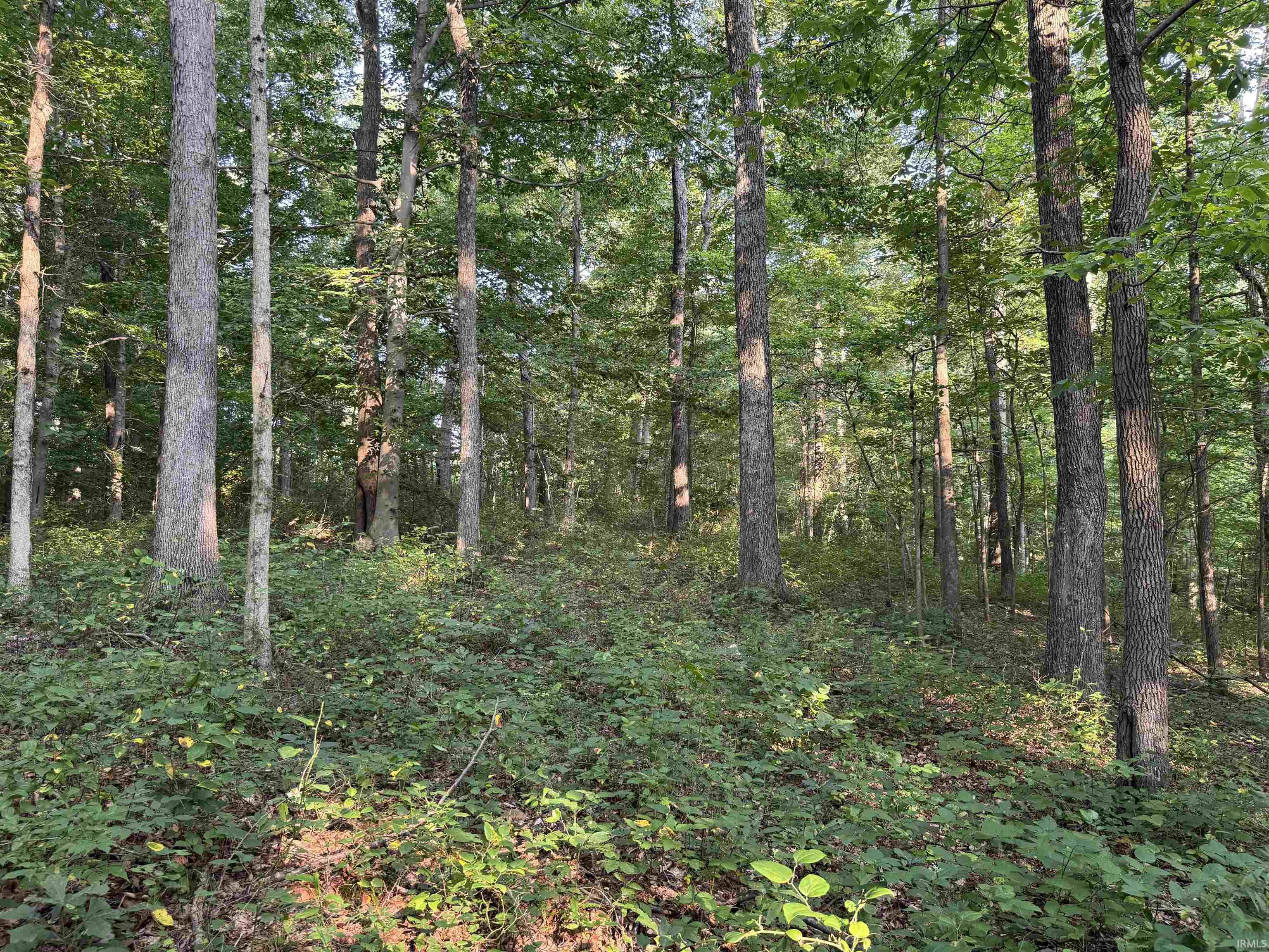 Brushy Fork Road Tell City, IN 47586 - Photo 39 of 47 Gallery Image 39