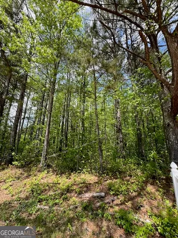 a view of a yard with plants and trees